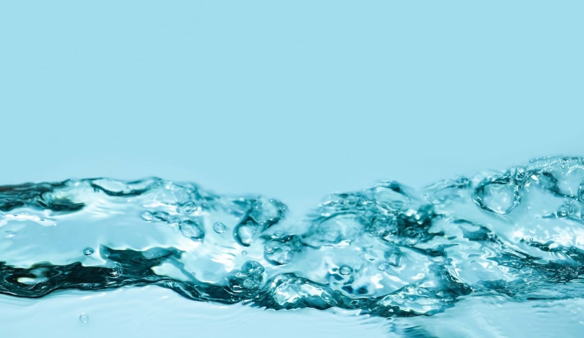 shutterstock 2061834938